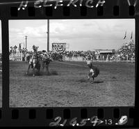 Norman Goosen Calf Roping