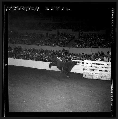 December 1964 Rodeo; 6th Round  BR