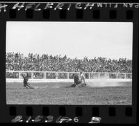 Howard Nichols Calf Roping