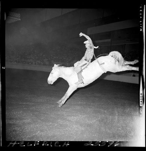 November 01, 1964  "Cow Palace"  Nite