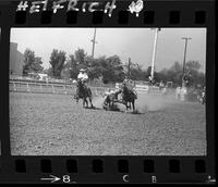 Stan Schriker Steer Wrestling