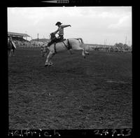 Kenny McLean on Crazy Quilt