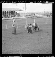 Jerry Olsen holding tail -Buck at head