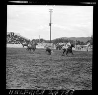 Bud Corwin - Ace Berry Team Roping