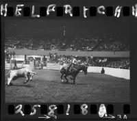 Gene Ray Ward - Walt Nichols Team Roping