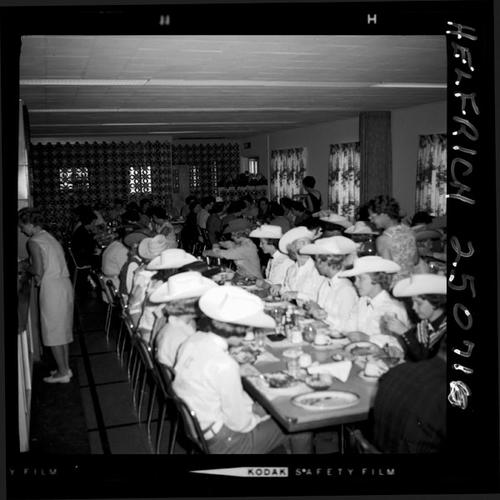 August 11, 1964  Nite