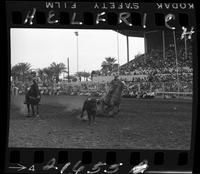 Mike Brenton - Bud Baldwin Team Roping