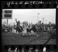 Barry Burk Steer Wrestling