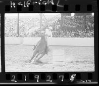 Darlene Blackman Barrel Racing