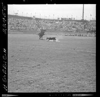 Lee Farris Calf Roping