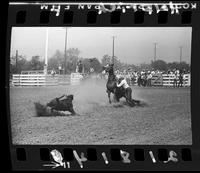 Daryl Hobdy Calf Roping