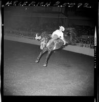 Don L. Wilson on Tennessee Stud  (R)