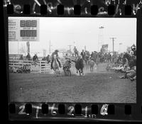 Howard Manuel Steer Wrestling