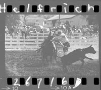 Bat Ridley Calf Roping