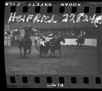 Sherman Sullins Steer Wrestling