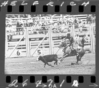 George Schriker Calf Roping