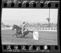 Stephanie Rigdon Barrel Racing