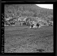 George Doak Steer Wrestling