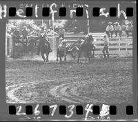 Doyle Cobler  Steer Wrestling