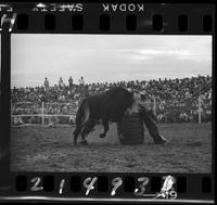 Clowns & Barrel Man  Bob Wilemon