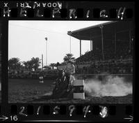 Judy Messerly Barrel Racing