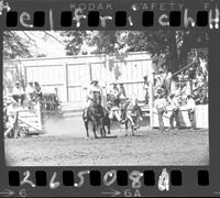 John Jones Steer Wrestling