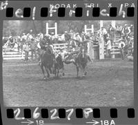 Bob Ragsdale Steer Wrestling