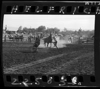 Jerry Anderson Calf Roping
