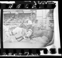 Walter Wyatt Steer Wrestling