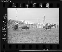 Frank Ferreira - Junior Muzio Team Rope