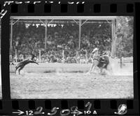 J.E. Teague Steer Wrestling