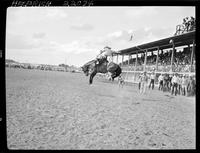 Jim Wise on Funeral Wagon