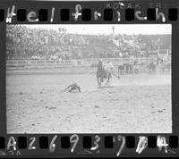 Tom Bergevin Calf Roping