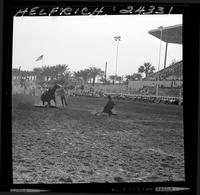 Bill Hamilton Calf Roping
