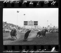 Jim Bob Altizer - Jack Riggs Team Roping