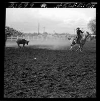 Bob Jones - Lloyd Harness Team Roping