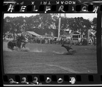 Doug Thurman Calf Roping