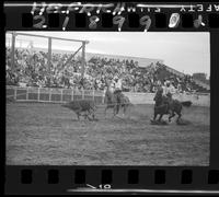 Art Messerly - Bud Tarp Team Roping