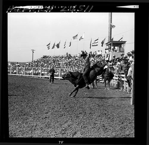 April 19, 1964
