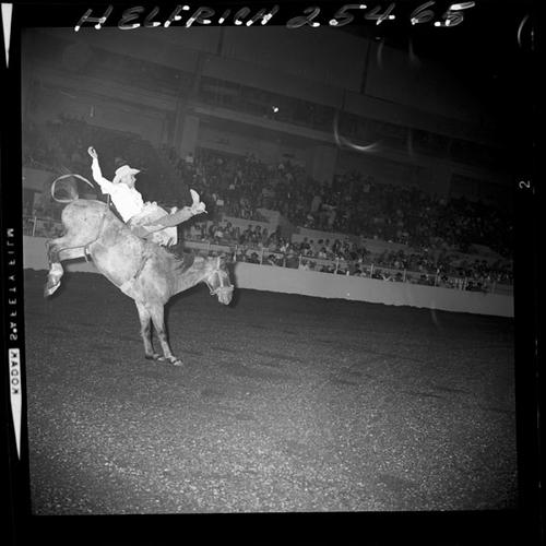 October 24, 1964  "Cow Palace"  Afternoon