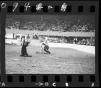 Dale Smith Calf Roping