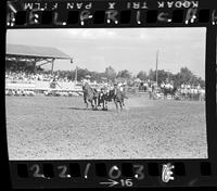 Benny Reynolds Steer Wrestle