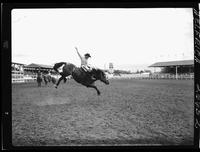 John McBeth on Dusty Lad