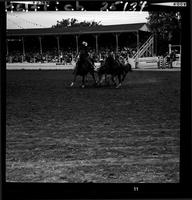 Phil Hatcher Steer Wrestling