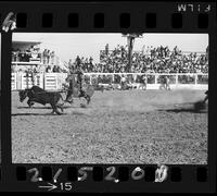 Clyde Upton -  Team Roping