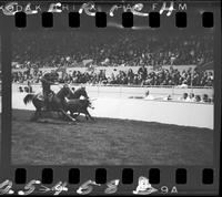 Dale Huddleeston Steer Wrestling