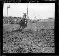 Wendy Potter Barrel Racing