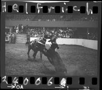 Les Cockrell Calf Roping
