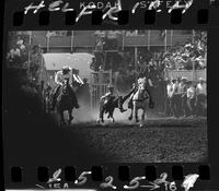 Clyde May Steer Wrestling