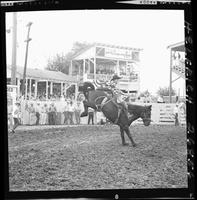 Winston Bruce on Knott Inn